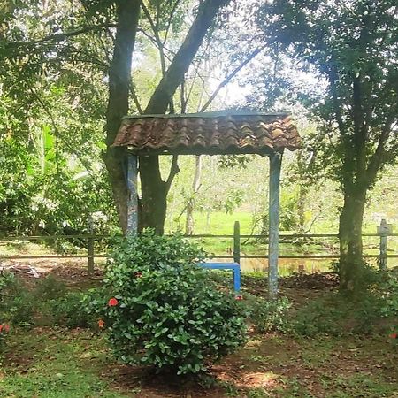 Hotel Maguey Tigre  エクステリア 写真