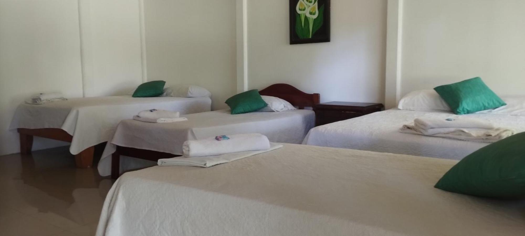 Hotel Maguey Tigre  エクステリア 写真