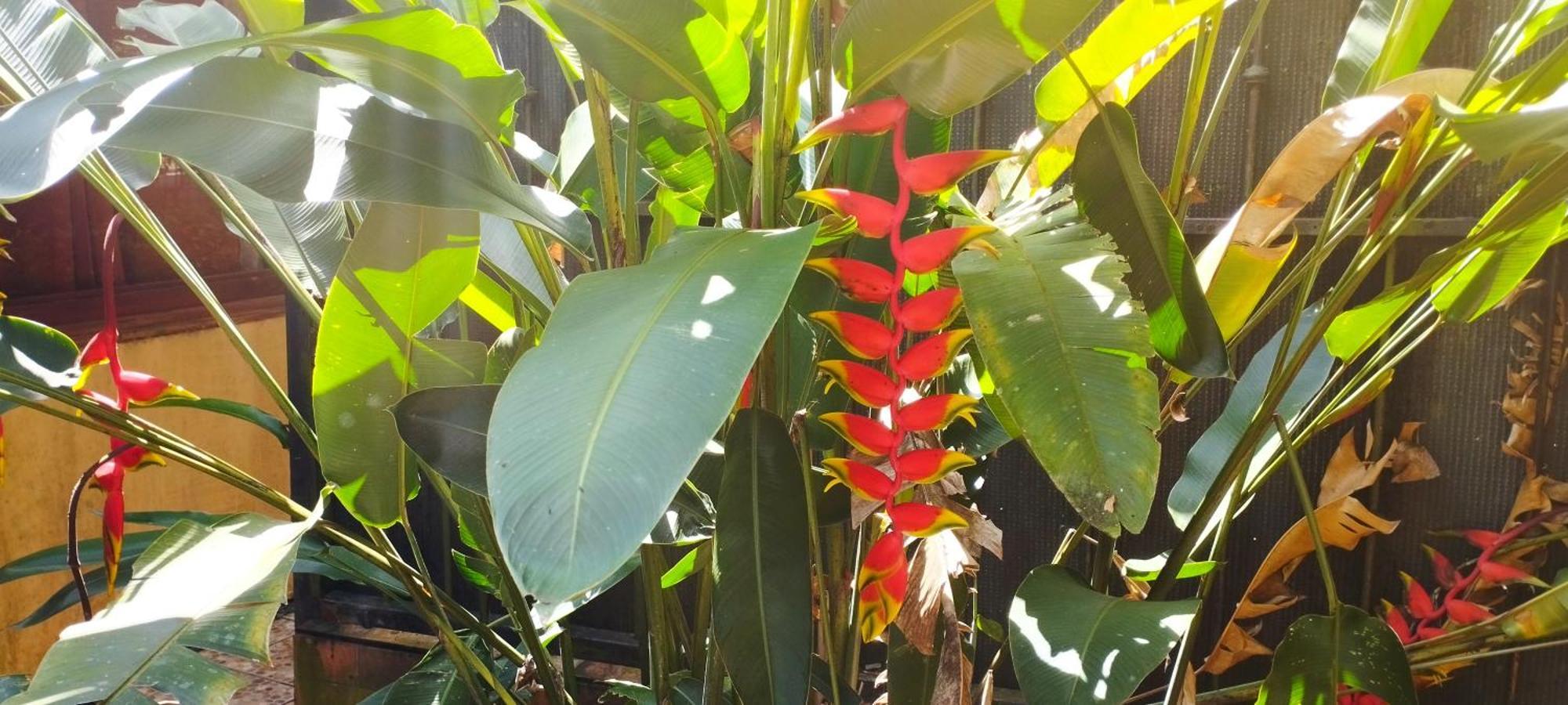 Hotel Maguey Tigre  エクステリア 写真