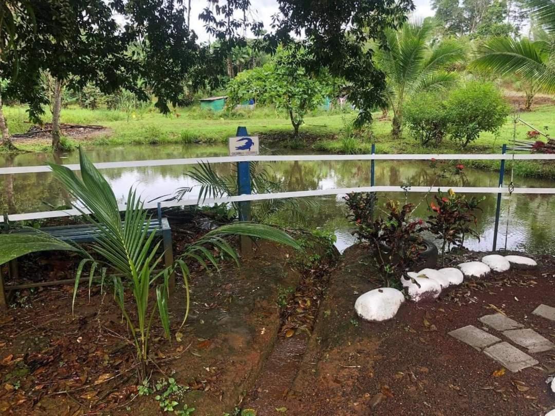 Hotel Maguey Tigre  エクステリア 写真