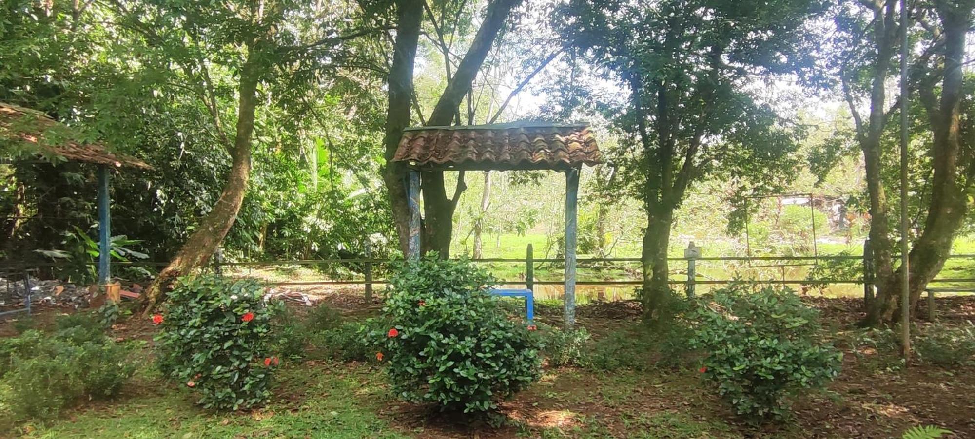 Hotel Maguey Tigre  エクステリア 写真