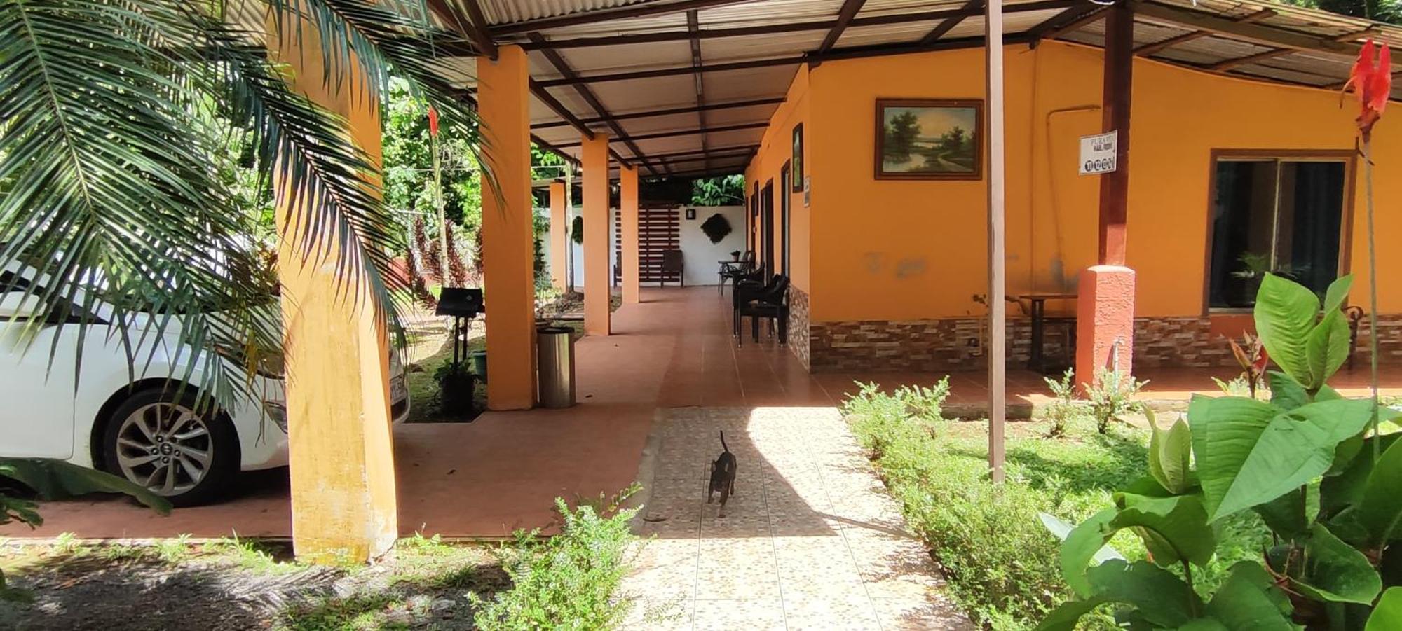 Hotel Maguey Tigre  エクステリア 写真