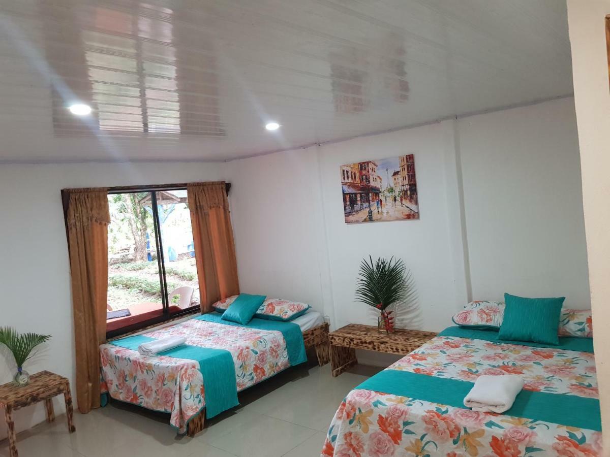 Hotel Maguey Tigre  エクステリア 写真